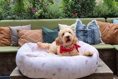 A dog sitting on a dog bed at Treehouse Hotel