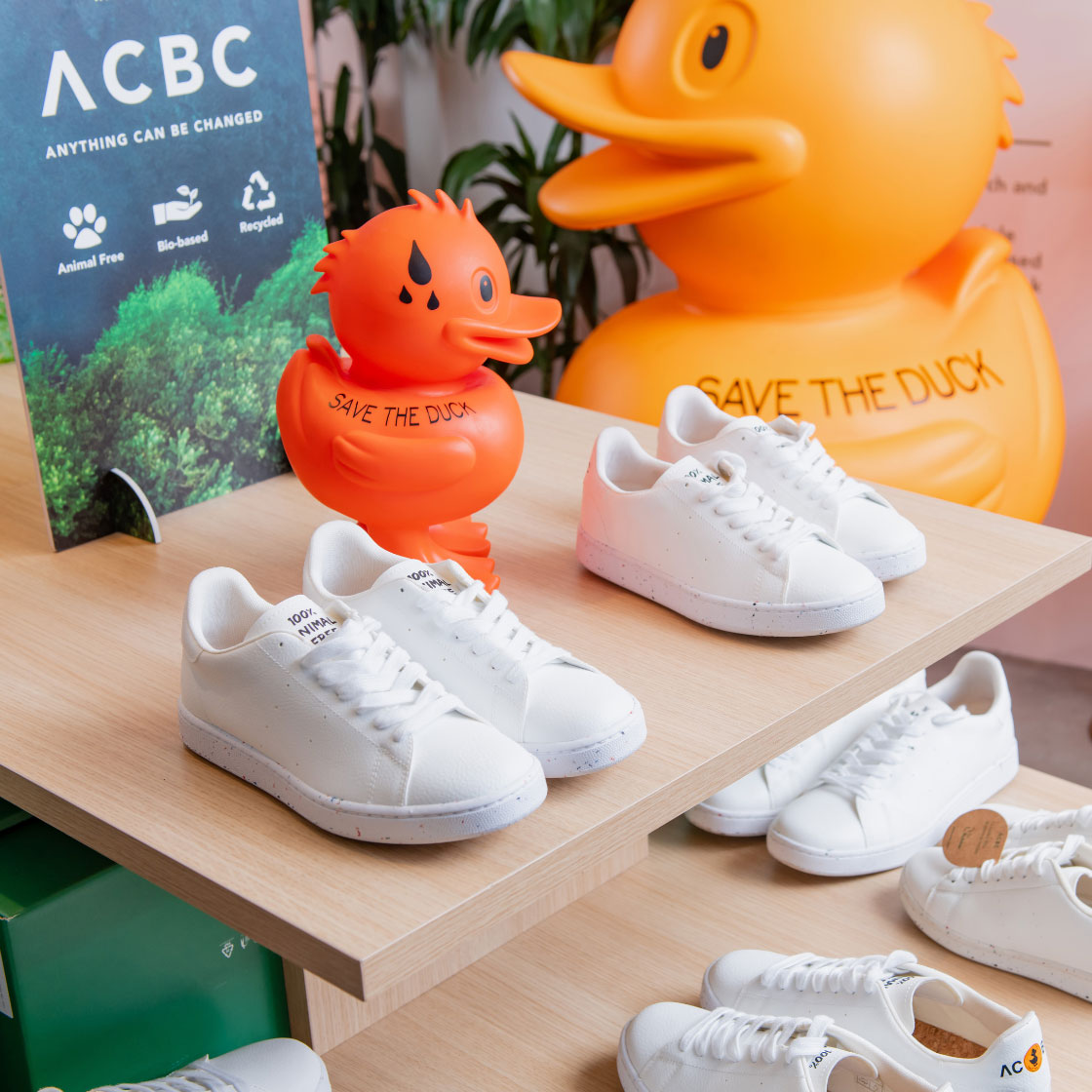 ACBC sustainable shoes sat on a shelf next to a rubber duck